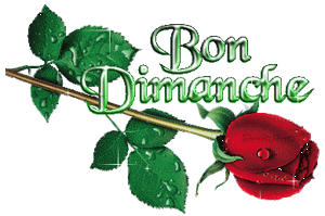 Gif animé Bon dimanche rose rouge